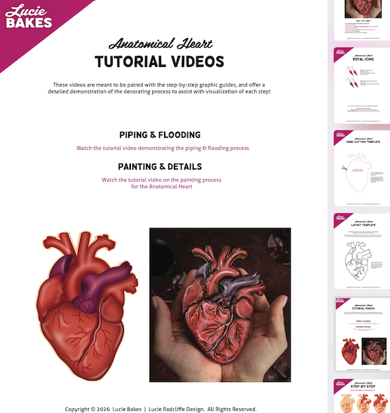 Anatomical Heart Cookie -- Workbook + Pre-Recorded Tutorials