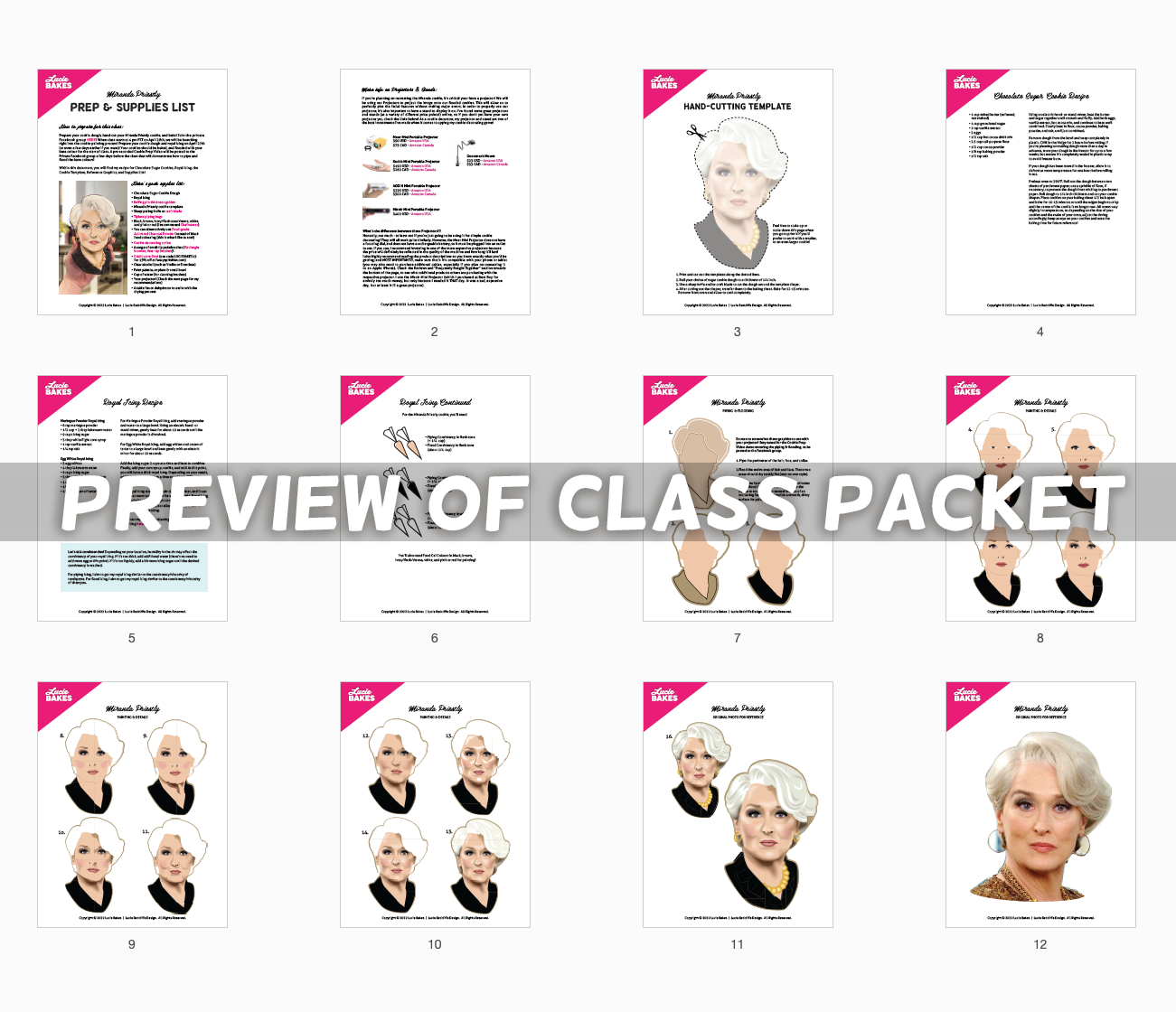 Miranda Priestly -- CLASS RECORDING