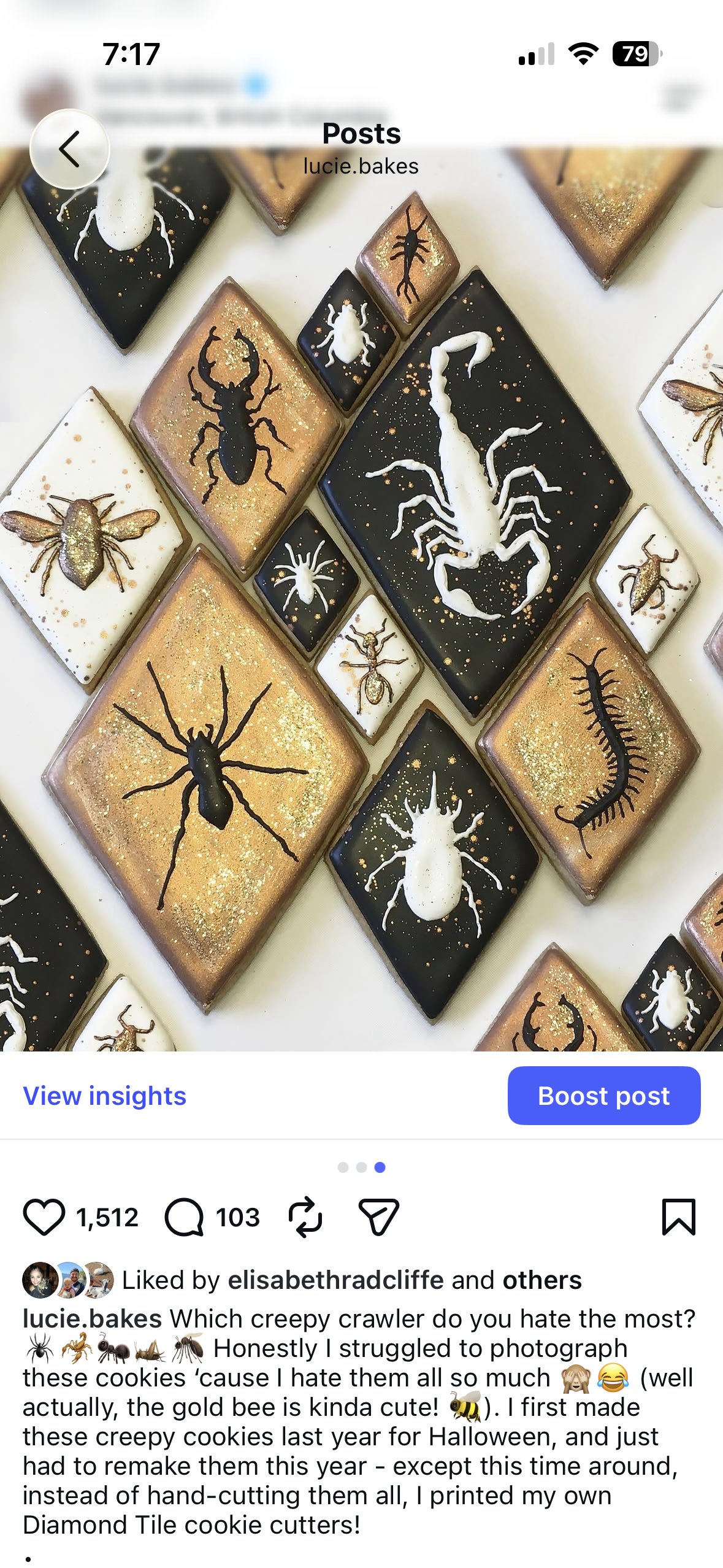 Creepy Crawlers - Royal Icing Transfer Template