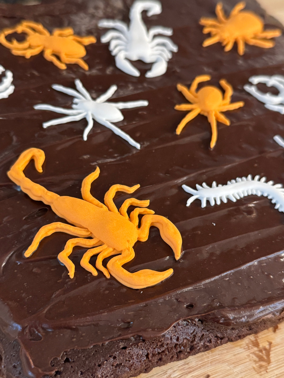 Creepy Crawlers - Royal Icing Transfer Template