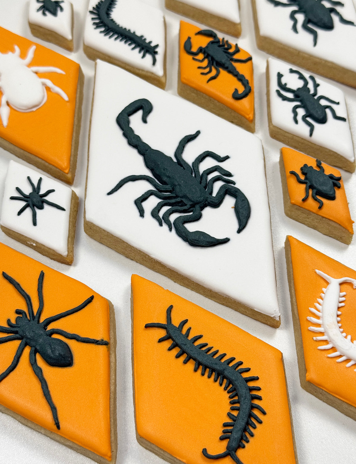 Creepy Crawlers - Royal Icing Transfer Template