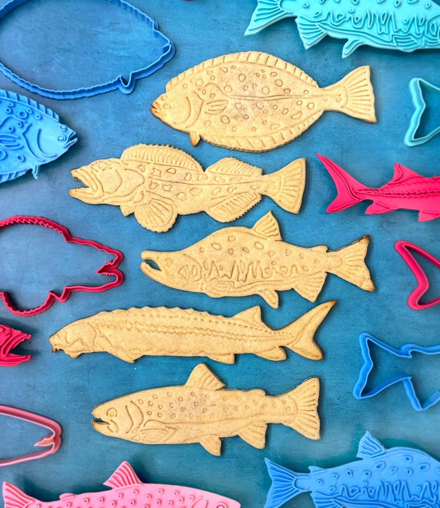 Gone Fishing! Cutters & Stamps