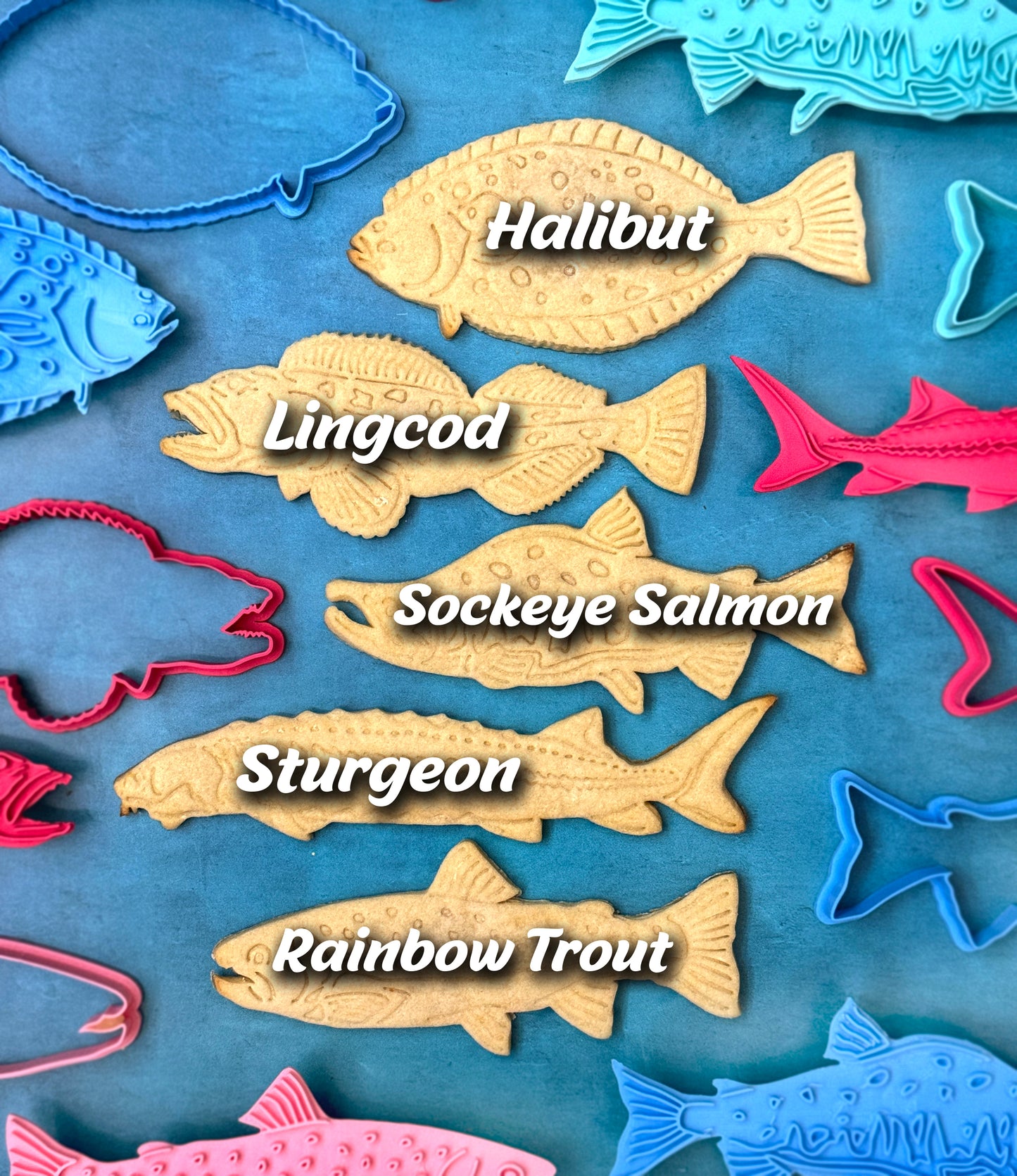 Gone Fishing! Cutters & Stamps