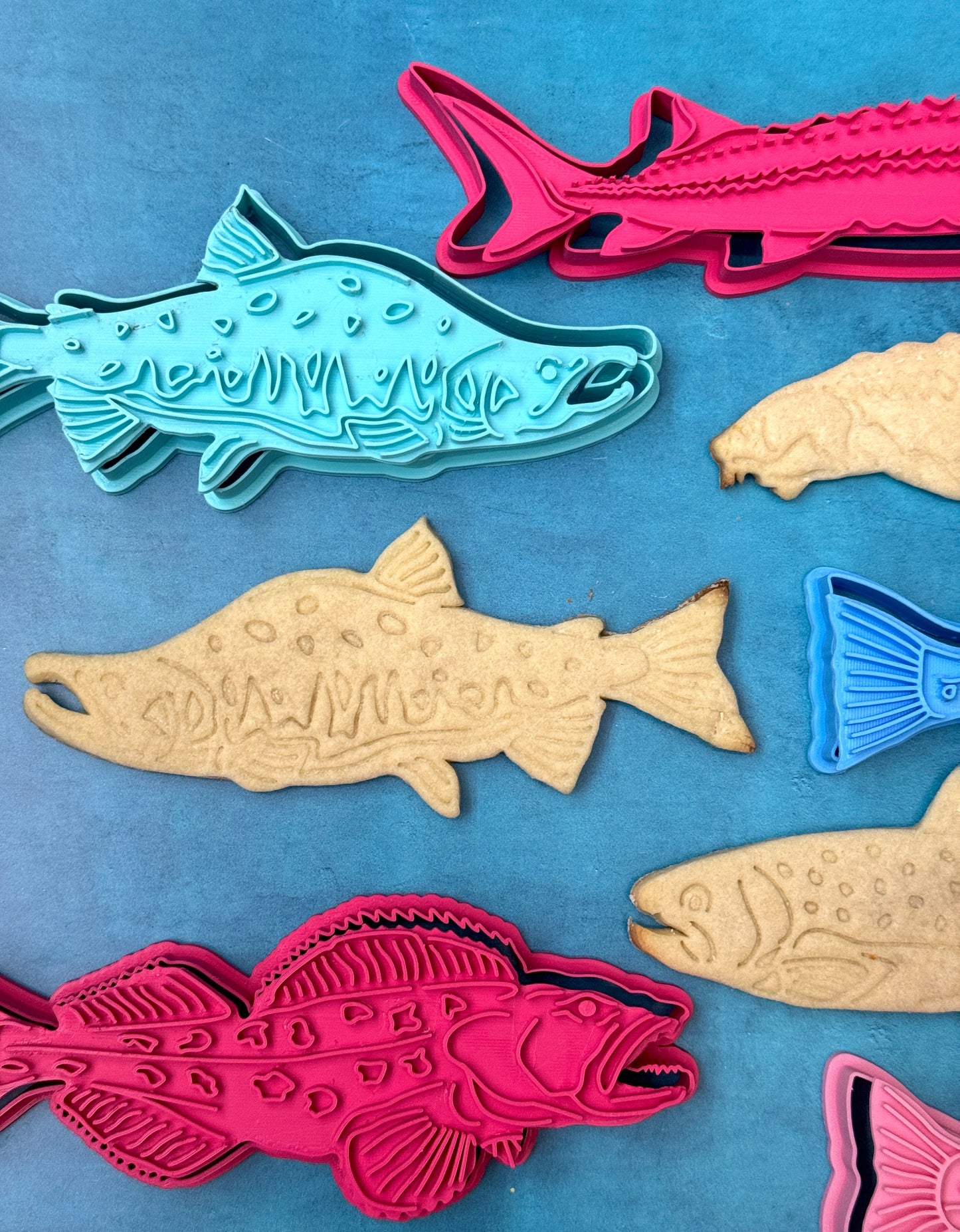 Gone Fishing! Cutters & Stamps