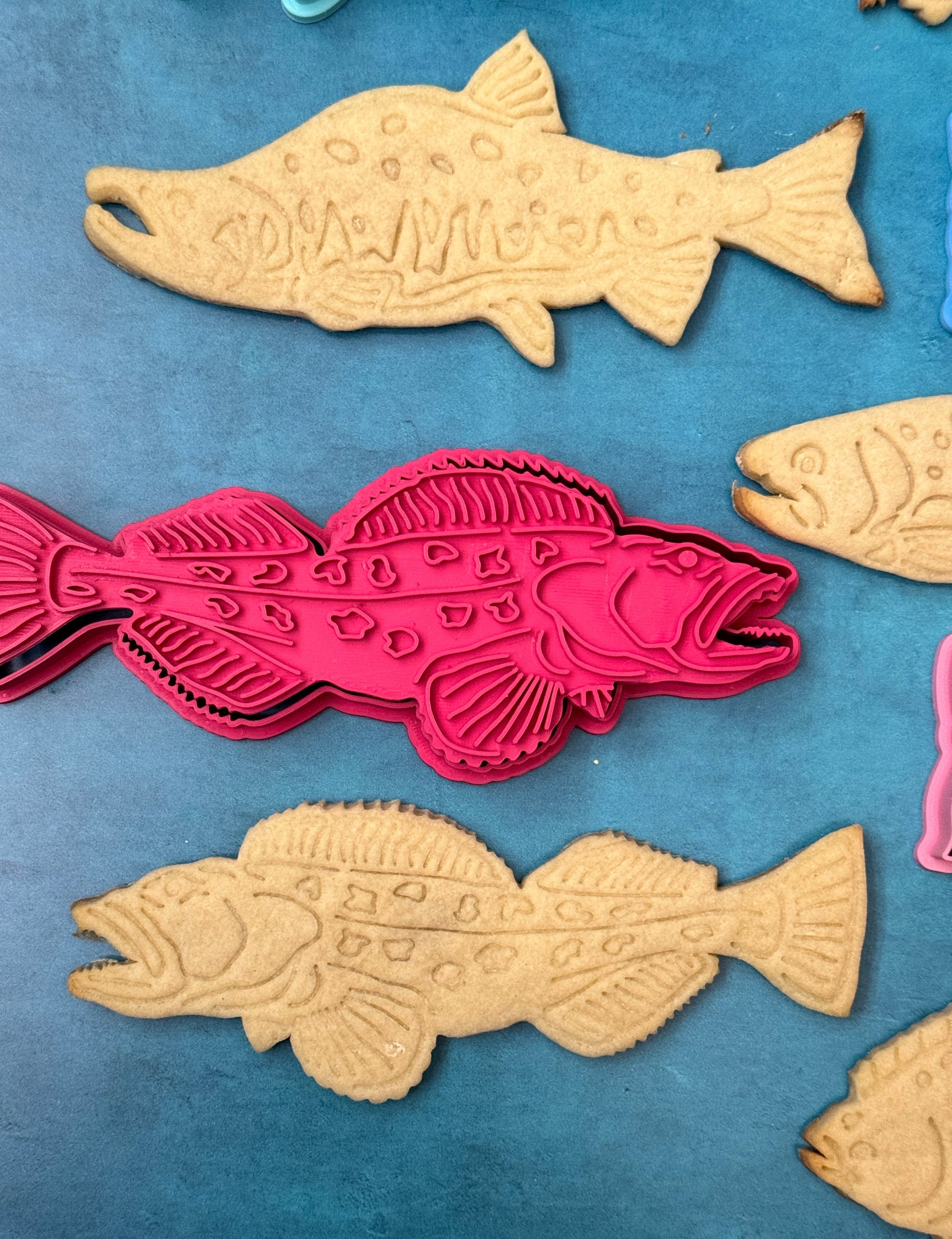 Gone Fishing! Cutters & Stamps