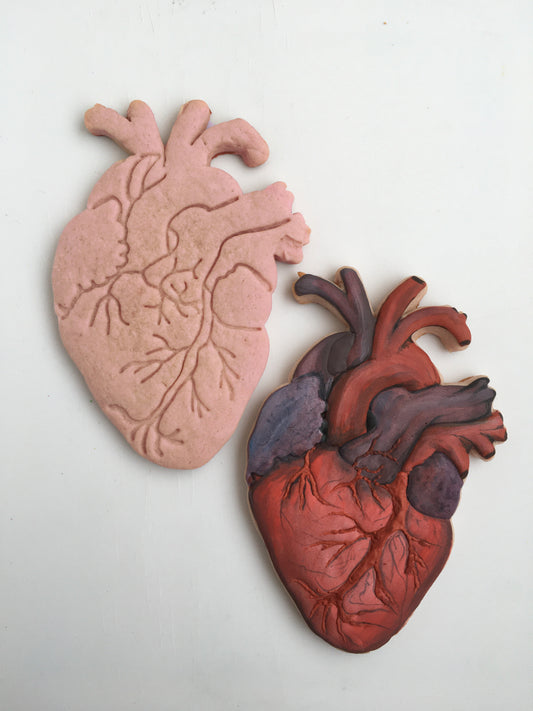 Anatomical Heart Cutter & Stamp
