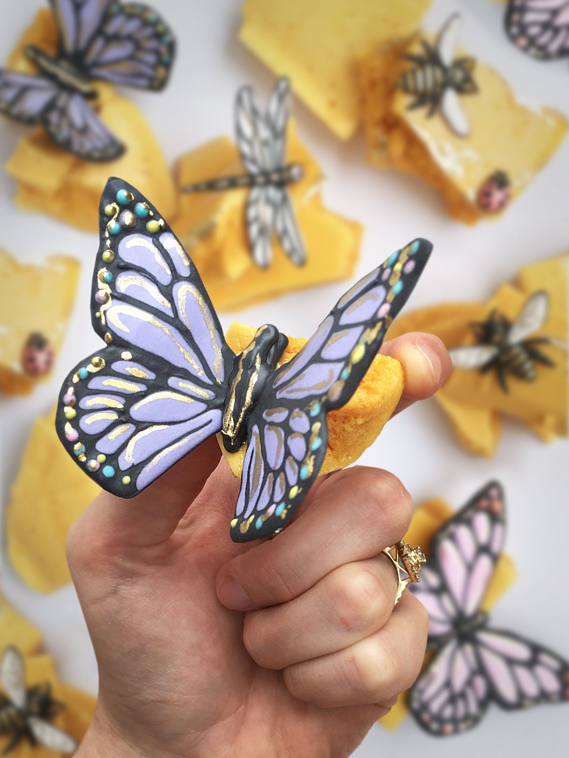 Summer Bugs - Royal Icing Transfer Template