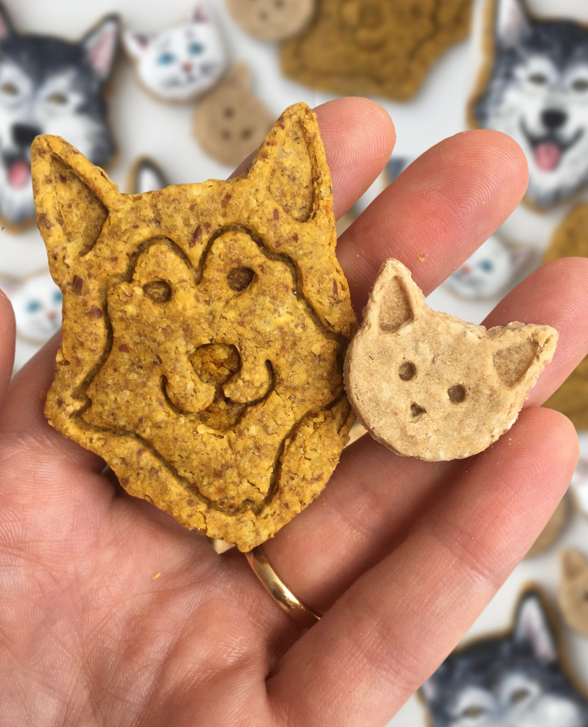 Pet Treat Cutters & Stamps