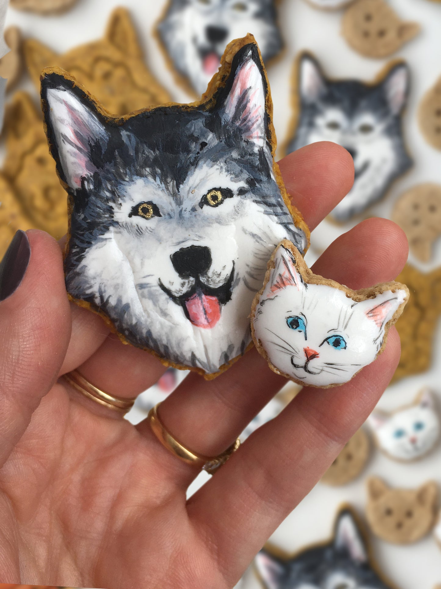 Pet Treat Cutters & Stamps