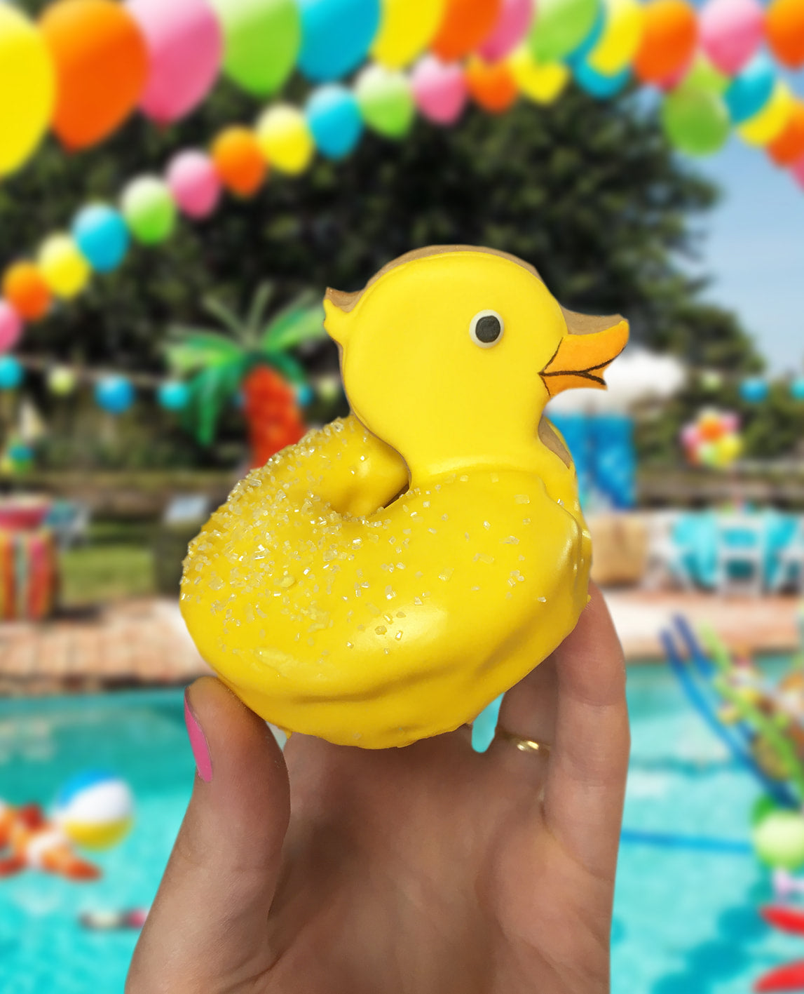 Pool Floatie Donut Set (B)