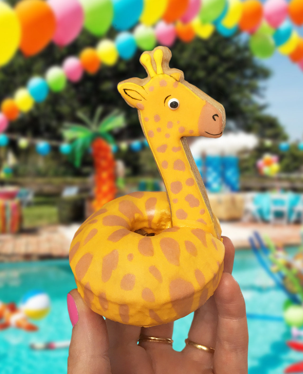 Pool Floatie Donut Set (B)