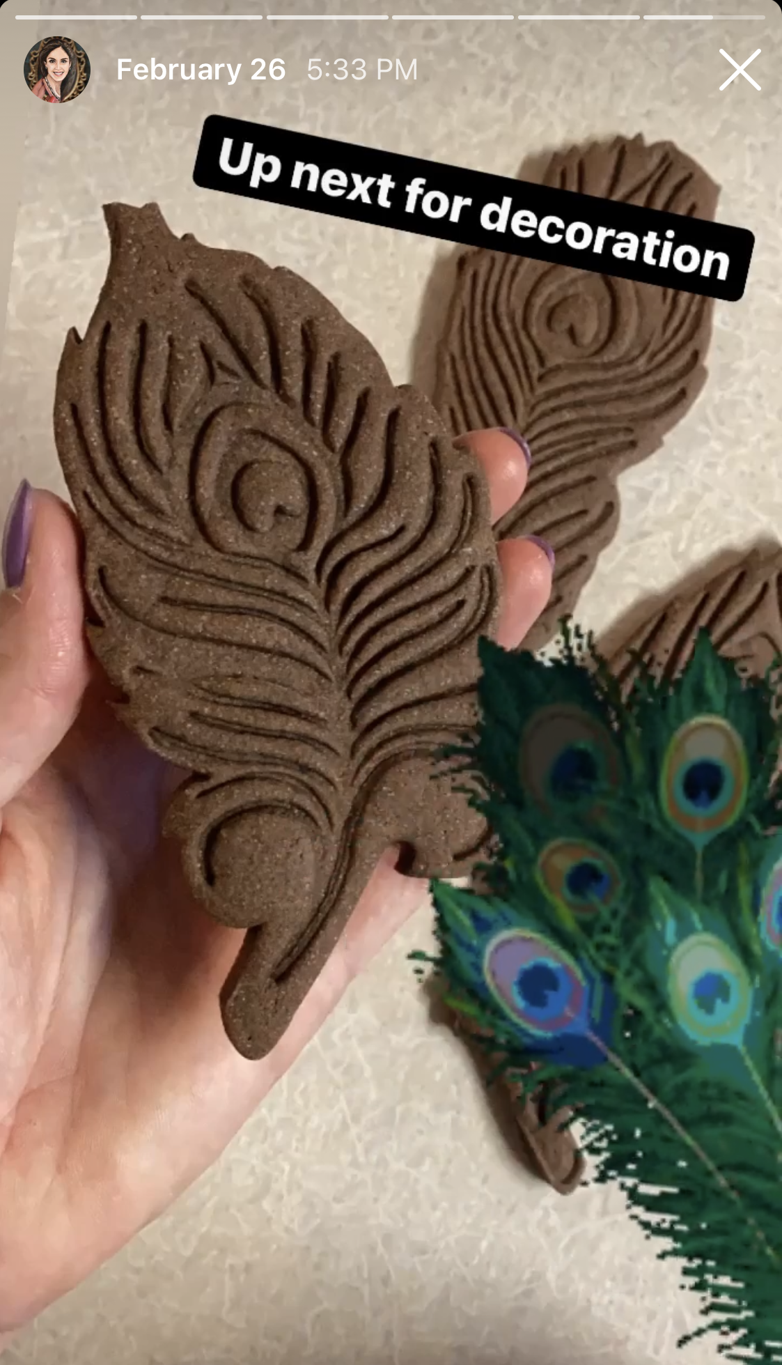 Peacock Feathers Cutter & Stamp Sets