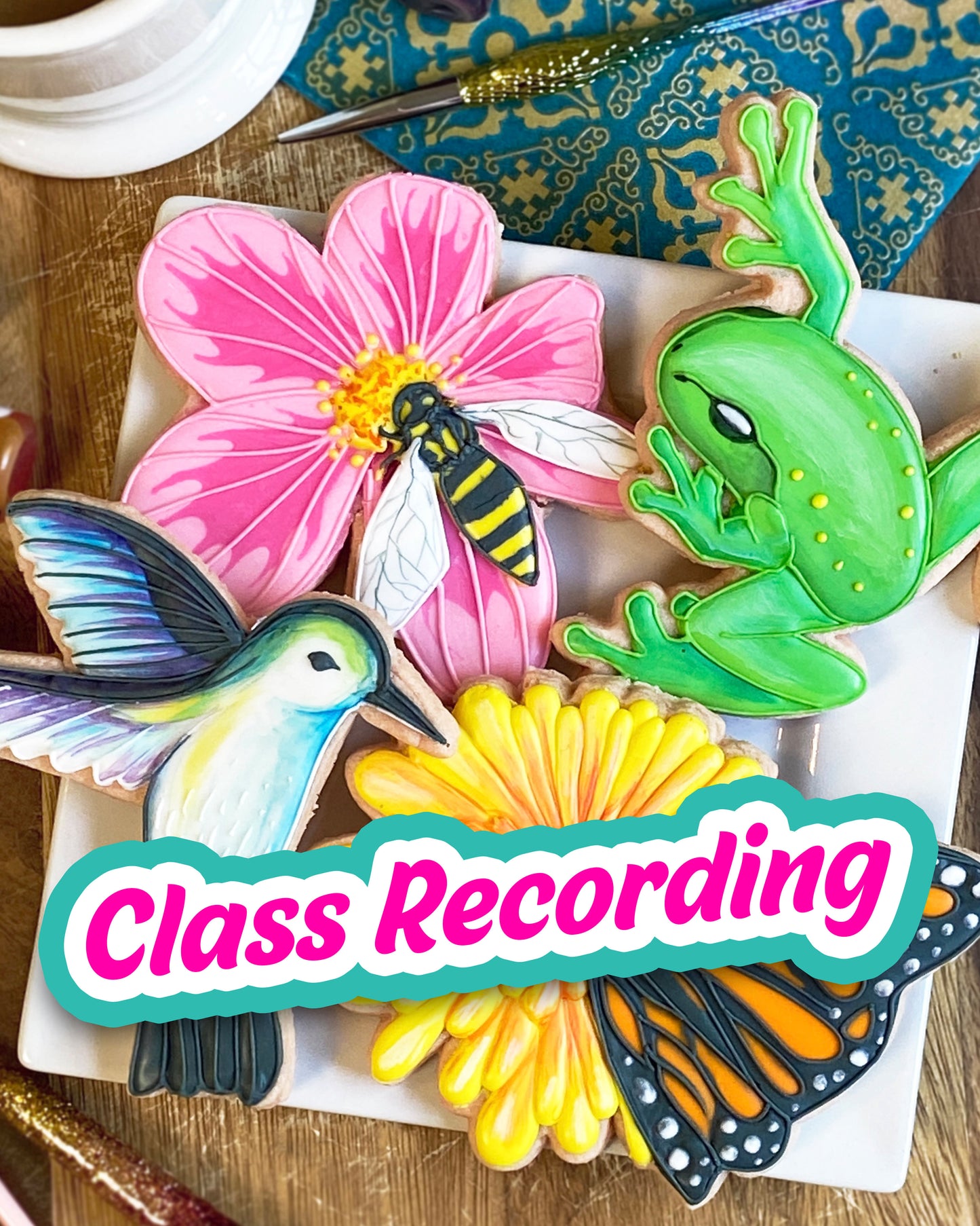 Garden Creatures -- CLASS RECORDING