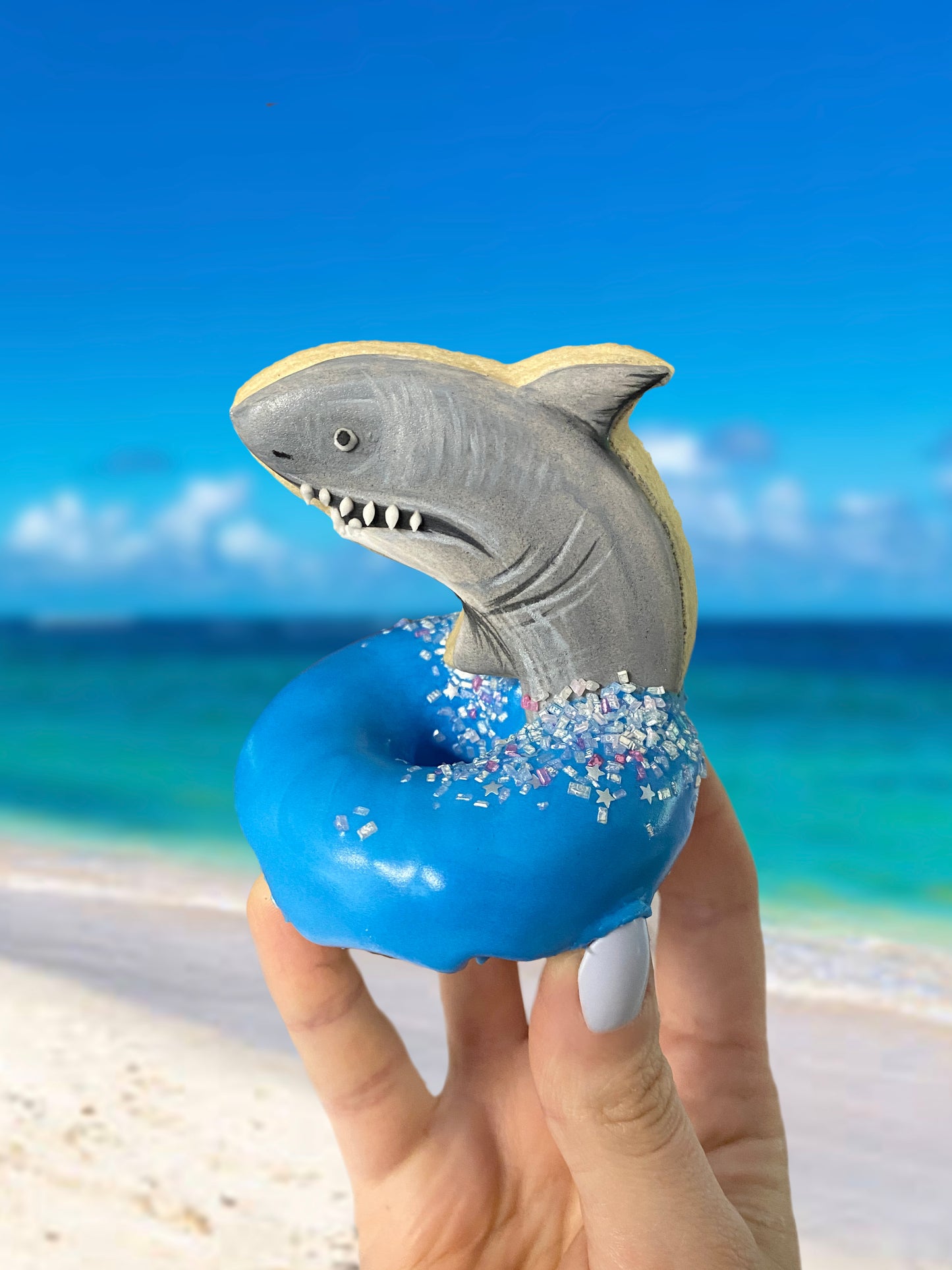 Pool Floatie Donut Set (C)