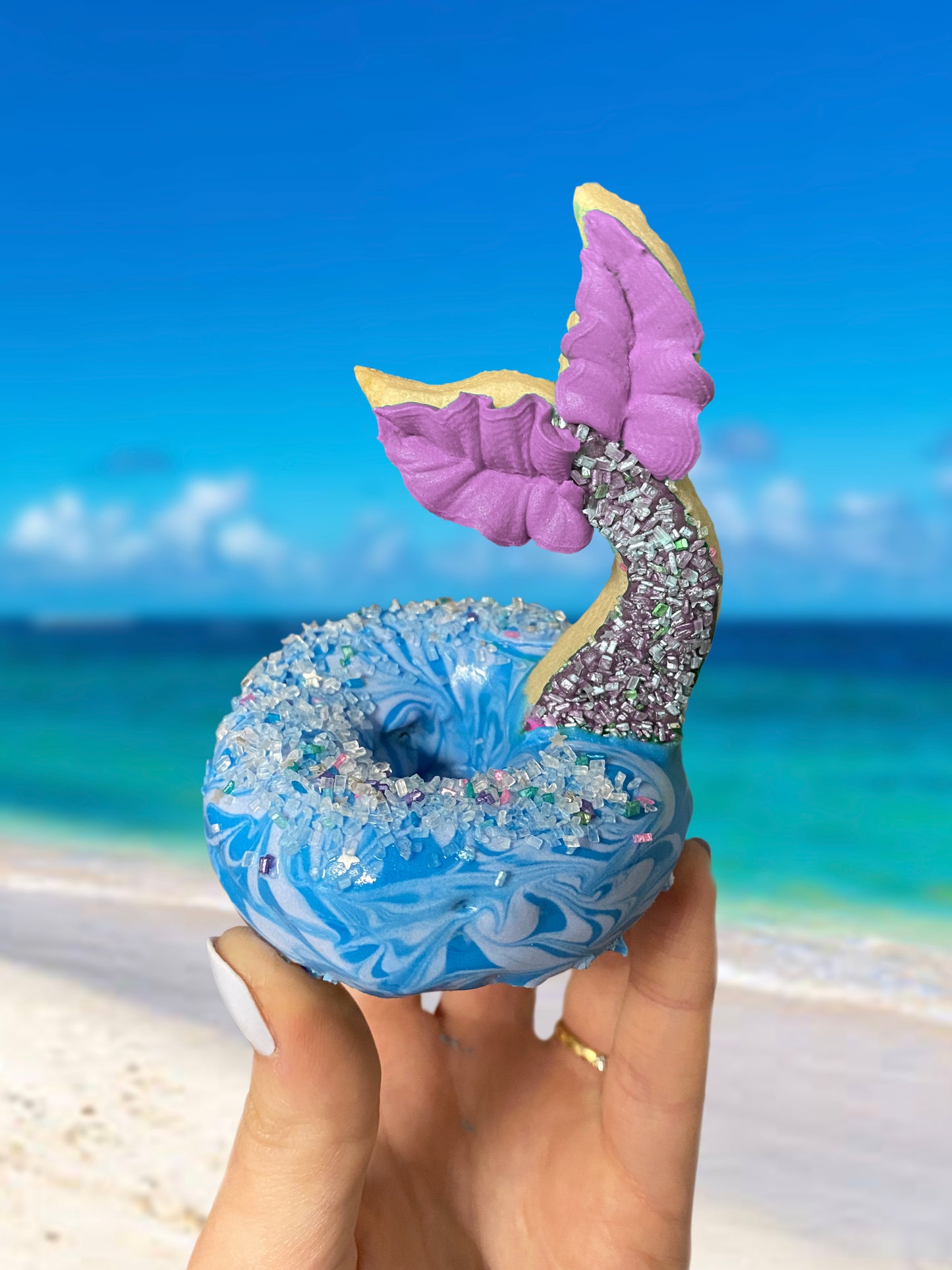 Pool Floatie Donut Set (C)