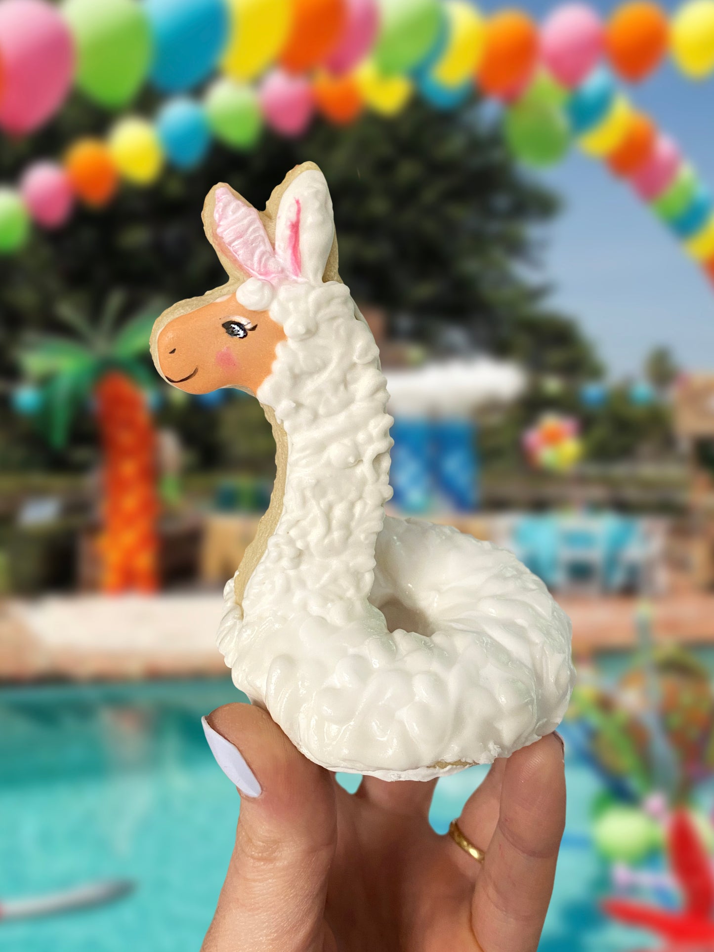 Pool Floatie Donut Set (C)