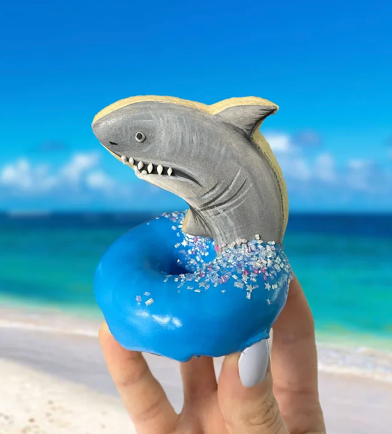 Pool Floatie Donut Toppers (C) - STL FILE