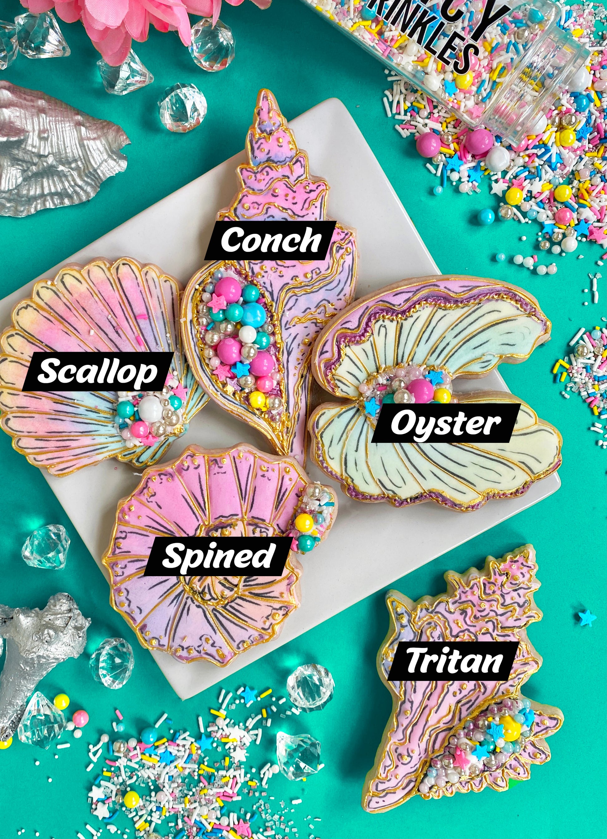 Seashell Cutters