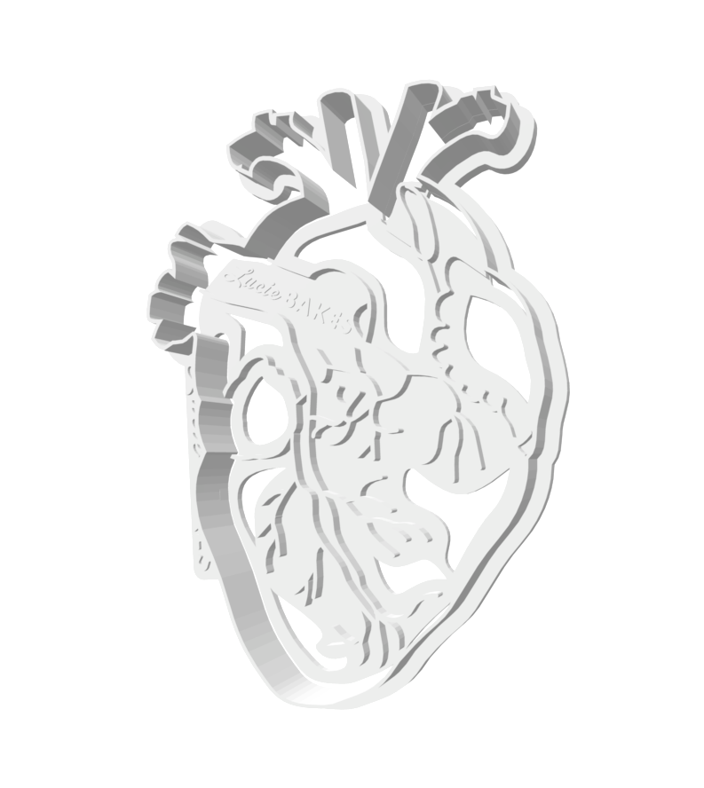 Anatomical Heart Cutter & Stamp -- STL FILE