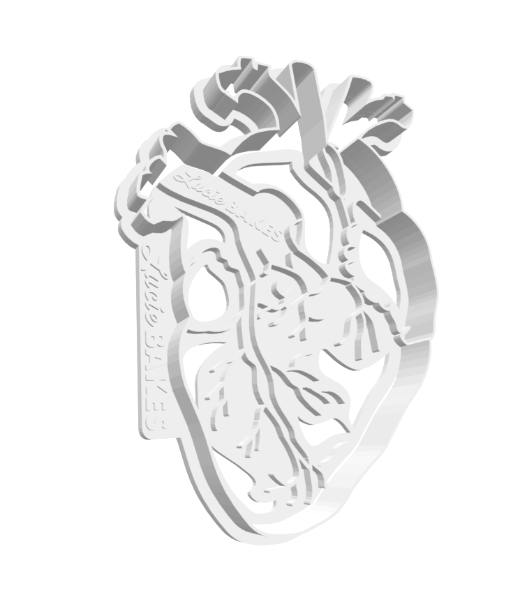 Anatomical Heart Cutter & Stamp -- STL FILE