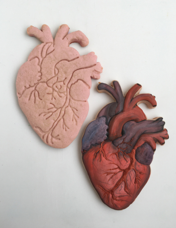 Anatomical Heart Cutter & Stamp -- STL FILE