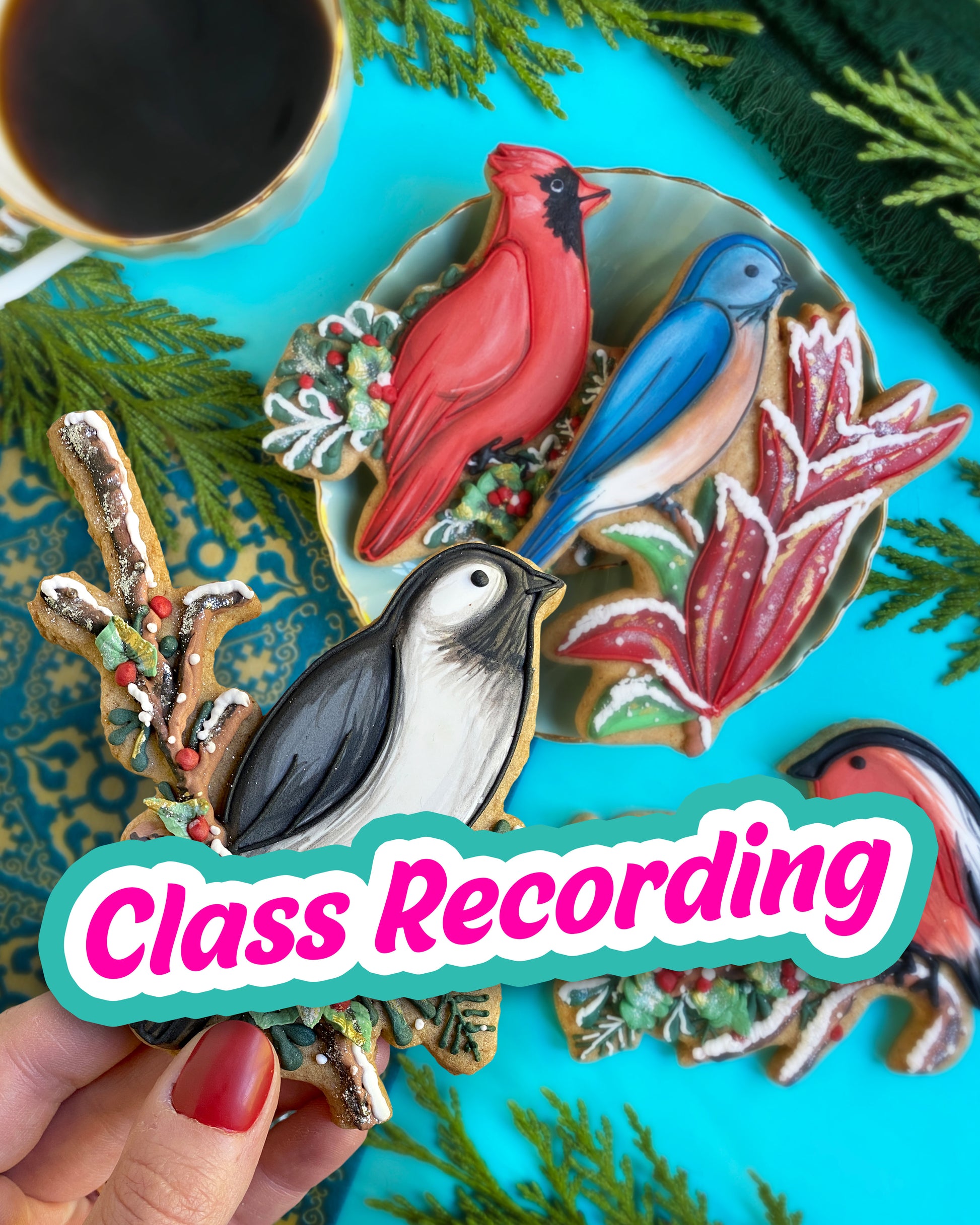 Winter Birds -- CLASS RECORDING